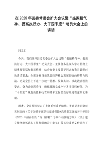 在2025年县委常委会扩大会议暨提振精气神提高执行力大干四季度动员大会上的讲话