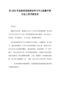在2025年县政府党组理论学习中心组集中研讨会上的书面发言