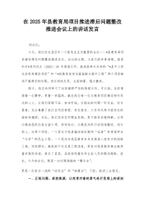 在2025年县教育局项目推进滞后问题整改推进会议上的讲话发言