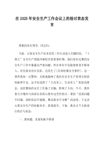 在2025年安全生产工作会议上的检讨表态发言