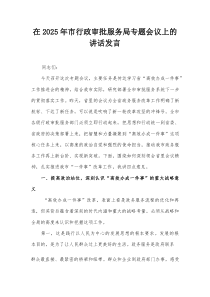 在2025年市行政审批服务局专题会议上的讲话发言