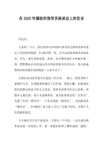 在2025年镇驻村指导员座谈会上的发言