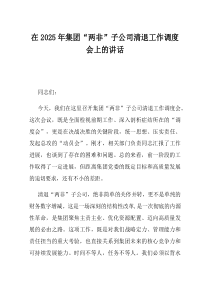 在2025年集团两非子公司清退工作调度会上的讲话