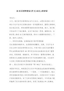 在XX区委常委会(扩大)会议上的讲话