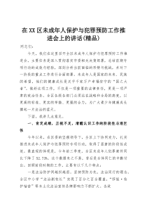 在XX区未成年人保护与犯罪预防工作推进会上的讲话（精编）