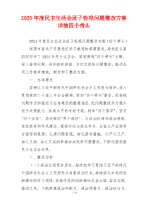 2025年度民主生活会班子检视问题整改方案详情四个带头