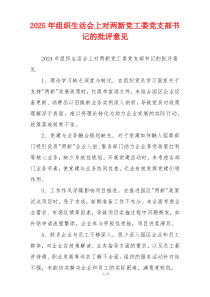 2025年组织生活会上对两新党工委党支部书记的批评意见