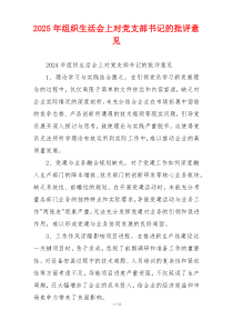 2025年组织生活会上对党支部书记的批评意见