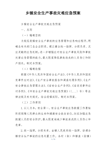 乡镇安全生产事故灾难应急预案