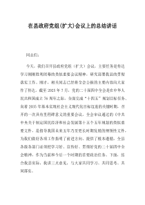 在县政府党组扩大会议上的总结讲话