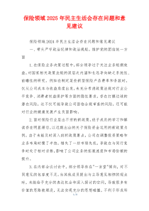 保险领域2025年民主生活会存在问题和意见建议