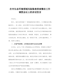 在市生态环境领域风险隐患排查整治工作调度会议上的讲话发言