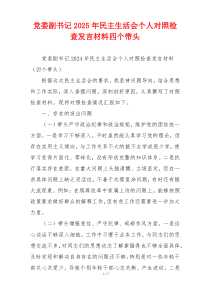党委副书记2025年民主生活会个人对照检查发言材料四个带头