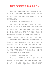 党支部书记在宣传工作会议上的讲话