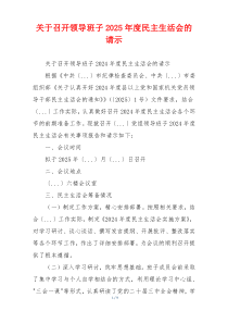 关于召开领导班子2025年度民主生活会的请示