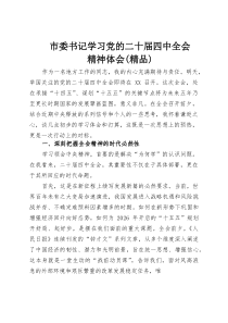 市委书记学习党的二十届四中全会精神体会（参考）