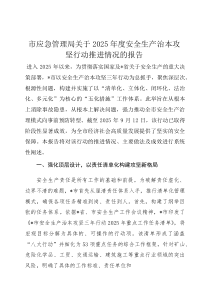 市应急管理局关于2025年度安全生产治本攻坚行动推进情况的报告