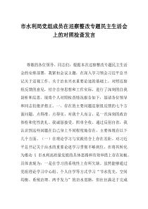 市水利局党组成员在巡察整改专题民主生活会上的对照检查发言