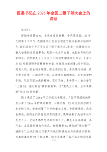 区委书记在2025年全区三级干部大会上的讲话