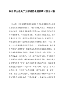 政治部主任关于支部规范化建设研讨发言材料