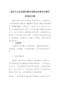 2025关于公文抄袭问题专项整治自查自纠情况的报告文稿