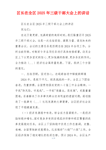 区长在全区2025年三级干部大会上的讲话