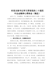 村党支部书记学习贯彻党的二十届四中全会精神心得体会（参考）