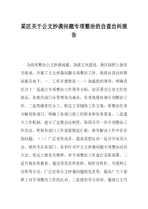 某区关于公文抄袭问题专项整治的自查自纠报告