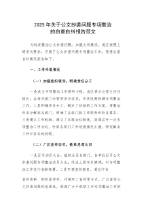 2025年关于公文抄袭问题专项整治的自查自纠报告范文