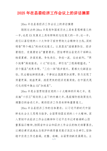 2025年在县委经济工作会议上的讲话摘要