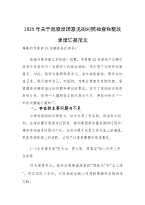 2025年关于巡察反馈意见的对照检查和整改承诺汇报范文