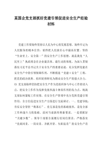 某国企党支部抓好党建引领促进安全生产经验材料