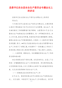 县委书记在全县安全生产委员会专题会议上的讲话