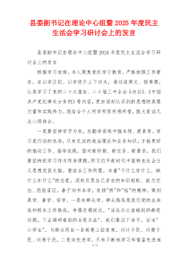 县委副书记在理论中心组暨2025年度民主生活会学习研讨会上的发言