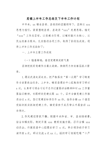 某镇上半年工作总结及下半年工作计划