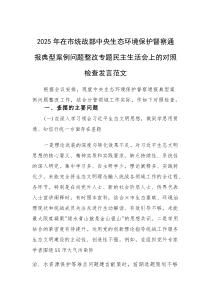 2025年在市统战部中央生态环境保护督察通报典型案例问题整改专题民主生活会上的对照检查发言范文