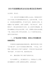 2025年巡视整改民主生活会表态发言供参考