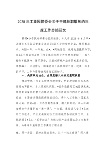 2025年工业园管委会关于干部挂职锻炼的年度工作总结范文