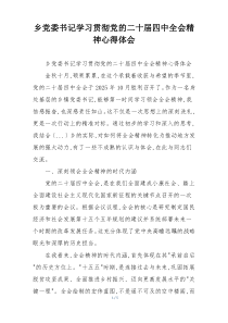 乡党委书记学习贯彻党的二十届四中全会精神心得体会