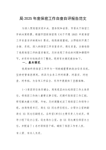 2025年度保密工作自查自评报告范文