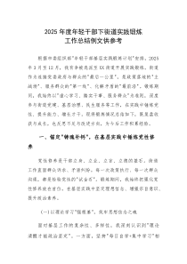 2025年度年轻干部下街道实践锻炼工作总结例文供参考