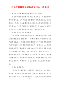 书记在新履职干部集体谈话会上的讲话