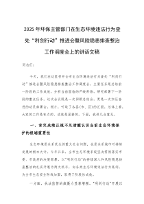2025年环保主管部门在生态环境违法行为查处“利剑行动”推进会暨风险隐患排查整治工作调度会上的讲话文