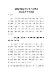 2025年理论学习中心组学习会议上的讲话范文