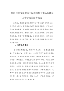 2025年纪委监委关于纪检监察干部队伍建设工作情况的报告范文