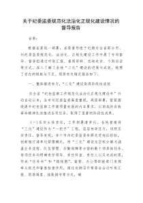 纪委监委规范化法治化正规化建设情况的督导报告（三化）