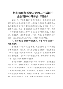 组织部副部长学习党的二十届四中全会精神心得体会（参考）