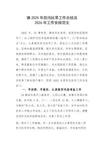 2025年防汛抗旱工作总结及2026年工作安排范文