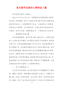 党支部书记培训心得体会3篇