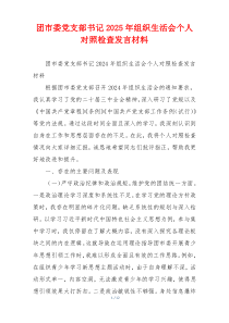 团市委党支部书记2025年组织生活会个人对照检查发言材料